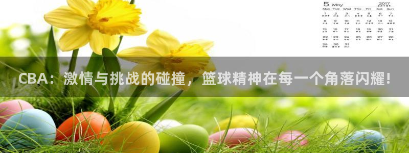  意昂2登录入口：CBA：激情与挑战的碰撞，篮球精神在每一个角