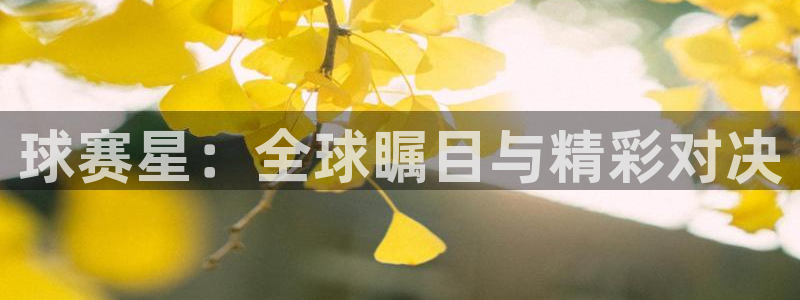 意昂2登录注册