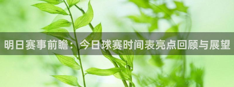  意昂2体育官方网站：明日赛事前瞻：今日球赛时间表亮点回顾与展