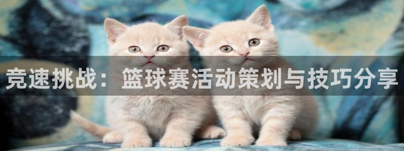 意昂2如何注册开户：竞速挑战：篮球赛