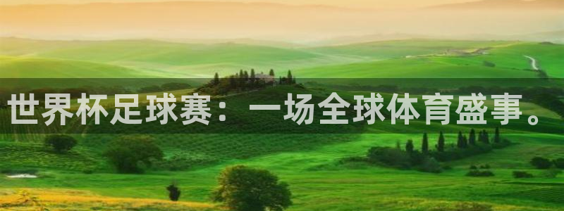 意昂2：世界杯足球赛：一场全球体育盛