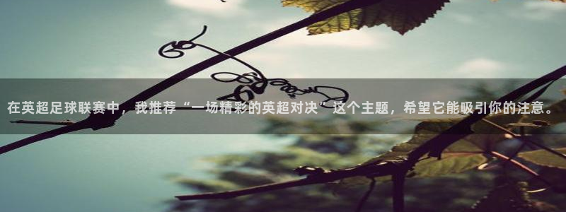  意昂2平台注册：在英超足球联赛中，我推荐“一场精彩的英超对决