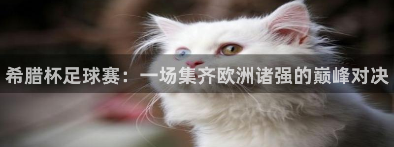  意昂2登录：希腊杯足球赛：一场集齐欧洲诸强的巅峰对决