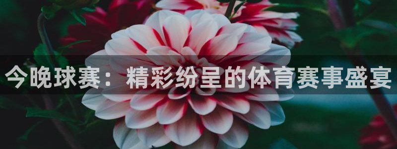 意昂2如何注册开户：今晚球赛：精彩纷呈的体育赛事盛宴