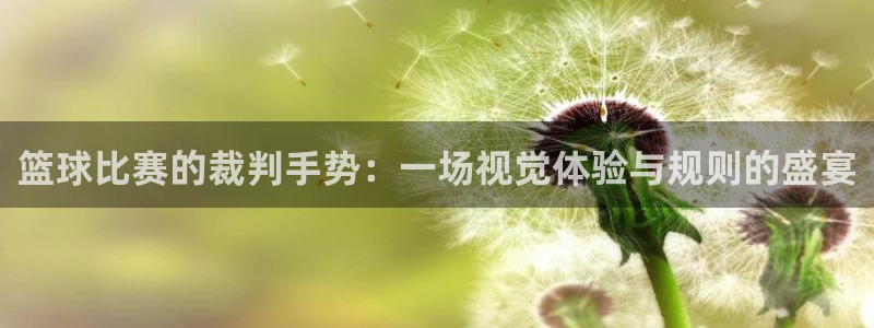 意昂2代理注册：篮球比赛的裁判手势：