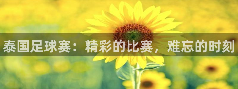 意昂2体育平台：泰国足球赛：精彩的比赛，难忘的时刻