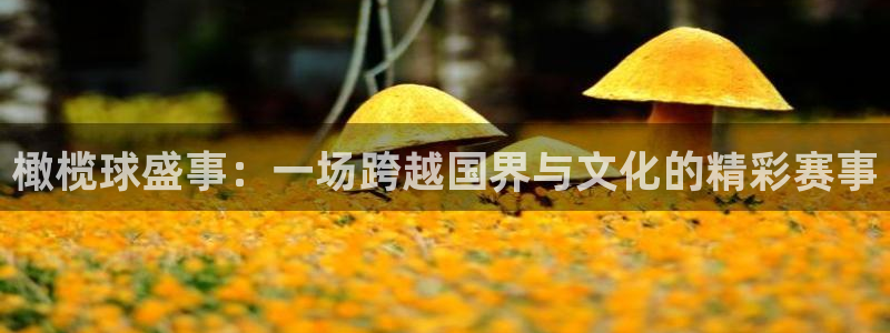 意昂2官方网站：橄榄球盛事：一场跨越