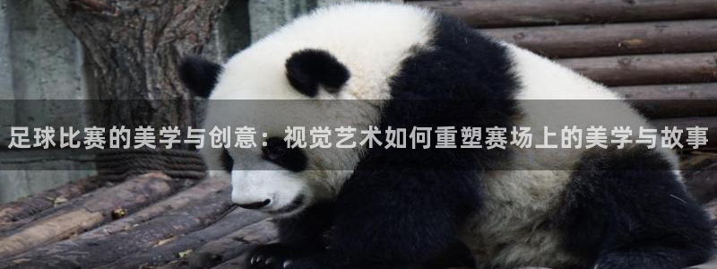 意昂2登录：足球比赛的美学与创意：视