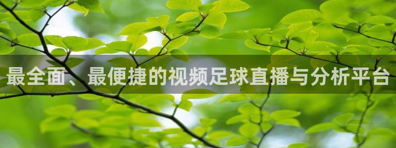 意昂2娱乐直属：最全面、最便捷的视频足球直播与分析平台