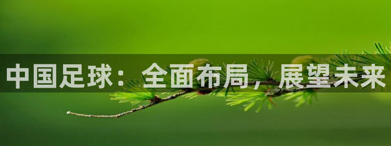 意昂2娱乐直属：中国足球：全面布局，展望未来