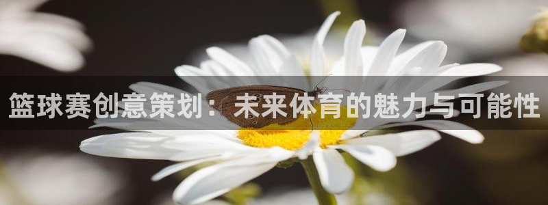 意昂2：篮球赛创意策划：未来体育的魅力与可能性