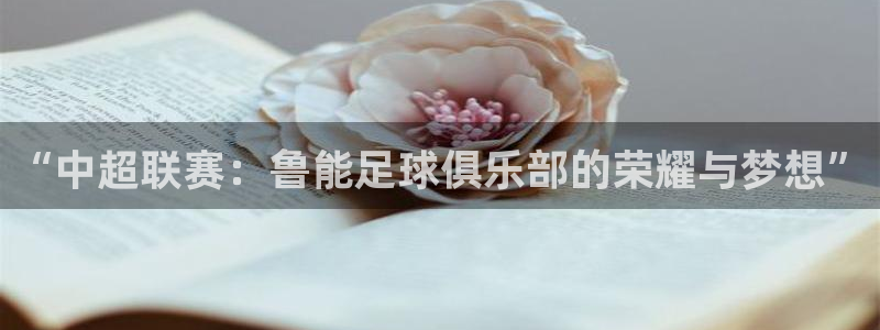 意昂2代理注册：“中超联赛：鲁能足球