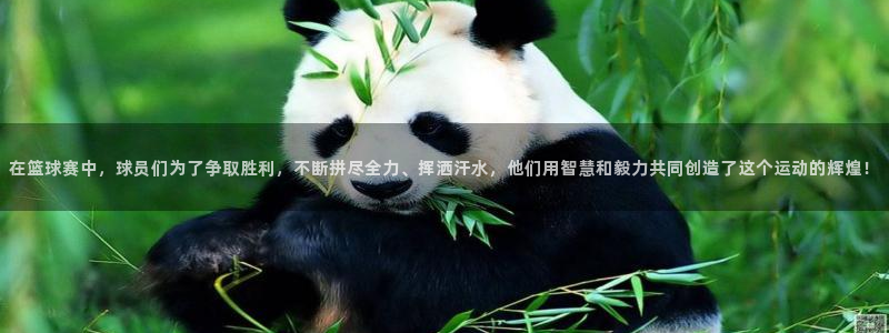  意昂2：在篮球赛中，球员们为了争取胜利，不断拼尽全力、挥洒汗