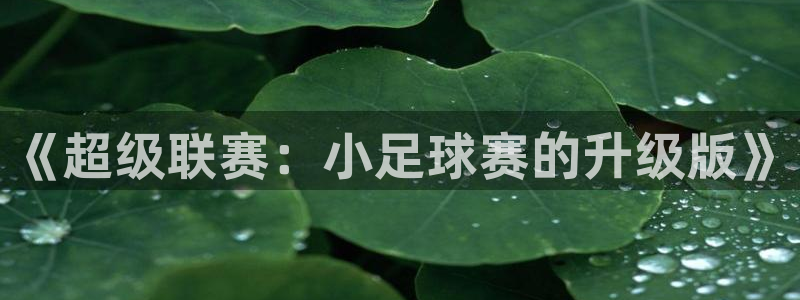 意昂2登录：《超级联赛：小足球赛的升级版》