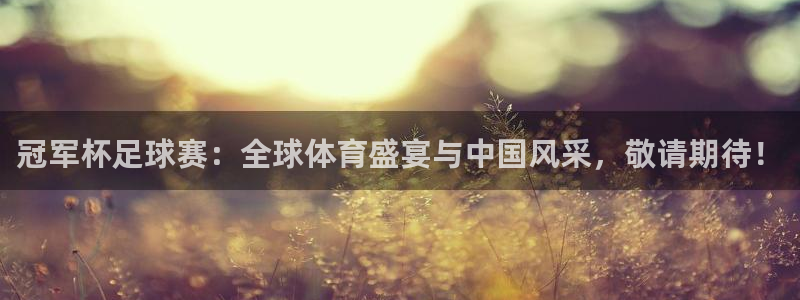  意昂2娱乐平台开户：冠军杯足球赛：全球体育盛宴与中国风采，敬