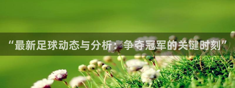  意昂2体育：“最新足球动态与分析：争夺冠军的关键时刻”
